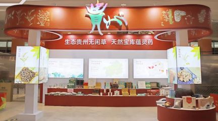 黔藥出山新窗口 貴州中藥材館常駐亳州，近400種道地藥材集中亮相