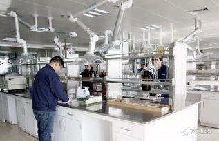 肥西縣高新技術(shù)企業(yè)認(rèn)定實(shí)現(xiàn)新突破，社會(huì)經(jīng)濟(jì)咨詢服務(wù)賦能產(chǎn)業(yè)升級(jí)