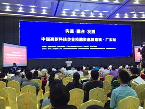 高新企業(yè)投融資路演廣東站圓滿舉行，科技中介服務(wù)賦能創(chuàng)新發(fā)展